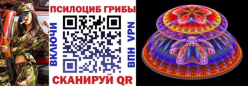 ОМГ ОМГ tor  купить наркотики цена  Зерноград  Псилоцибиновые грибы MAGIC MUSHROOMS 